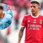 Watch Benfica v Midtjylland online: Live stream today's Champions League qualifier