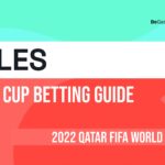 Wales odds to win World Cup 2022: Confirmed squad, route to the final, ranking & form