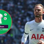 FPL chips explained