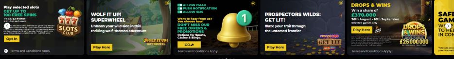 PricedUp Casino Promotions & Loyalty Program