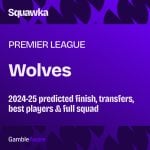 Wolves odds to be relegated from the 2024-25 Premier League: Odds, probable finish, signings, best players and full squad