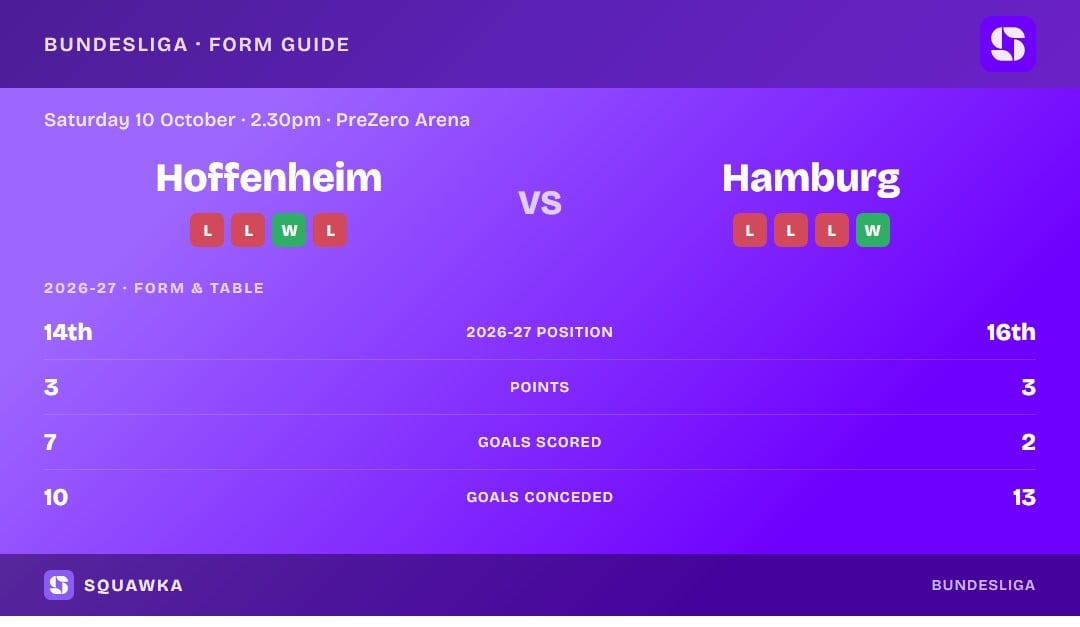 Hoffenheim vs Hamburg: form guide and current league standing