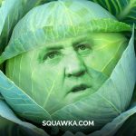 Steve Bruce Cabbagae