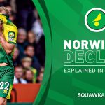 Norwich stats explaining the decline of the team that beat Premier League champions Man City.