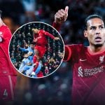 Van Dijk stats