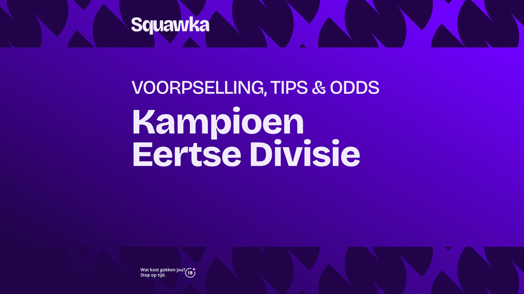 kampioen eerste divisie