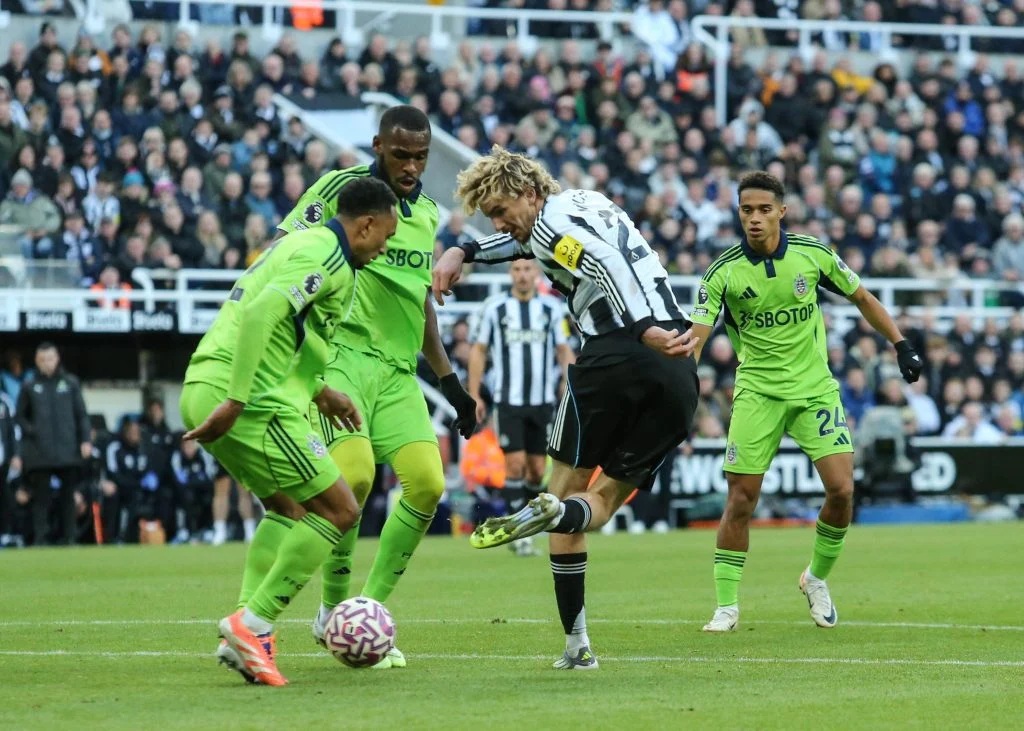 nick woltemade analyse 1.98 meter lange fenomeen newcastle united