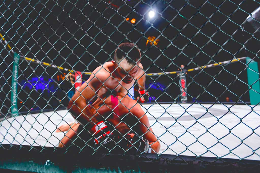 ufc kijken nederland
