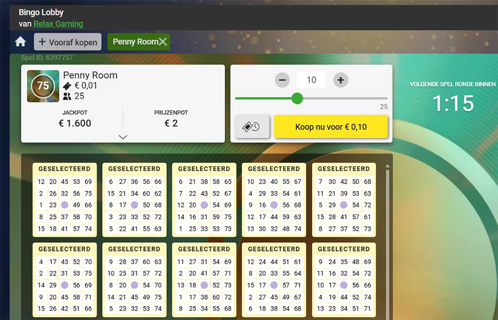 online bingo kaarten kopen