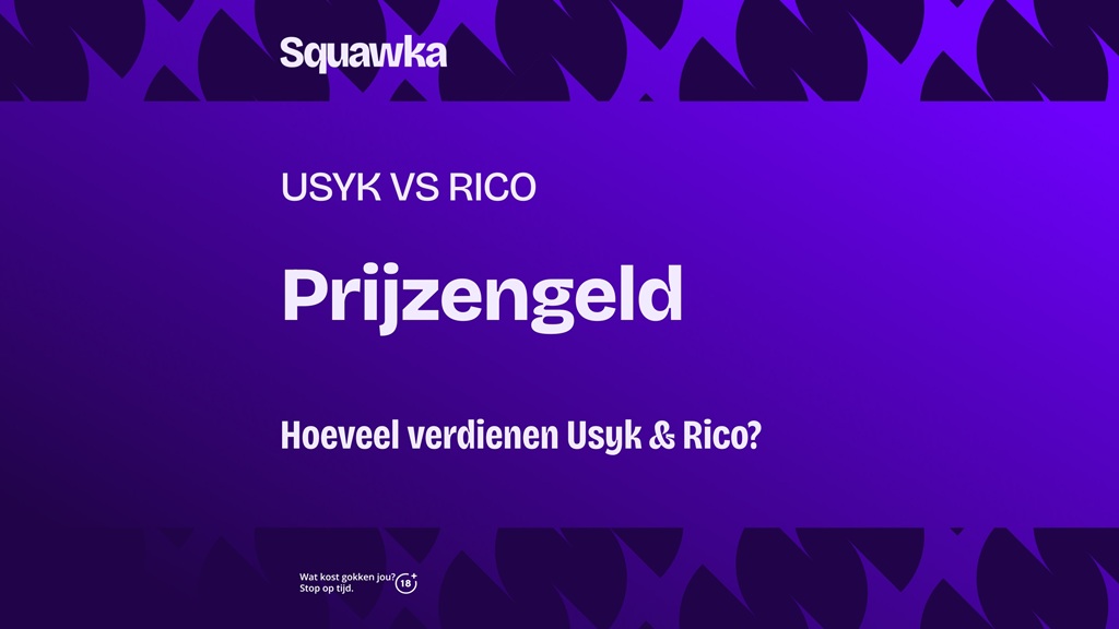 rico verhoeven vs usyk prijzengeld hoeveel geld verdienen boksers