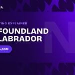 Newfoundland and Labrador sports betting explainer - Squawka Canada banner